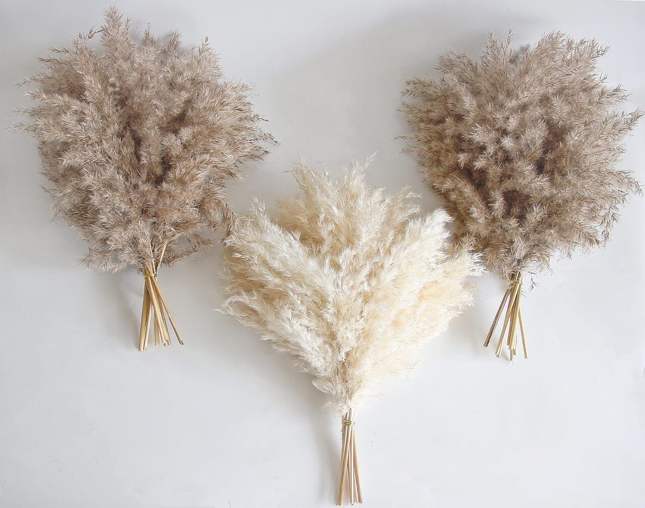30 PCS Boho Decor, Fluffy Pompas Grass, Natural Dry Pampas Grass Small, Short Pampass Bulk for Boho Room Decor